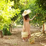 Villa Bohemian Retreat Kefalonia *