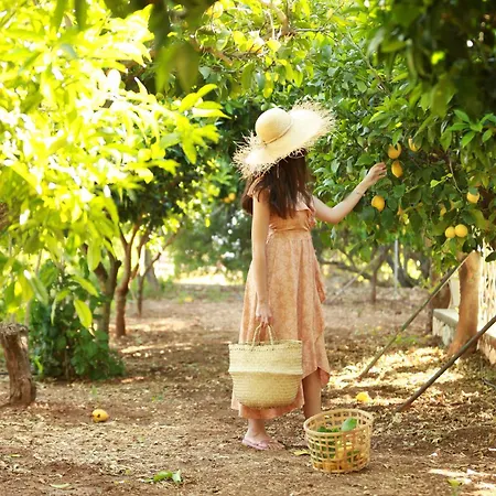 Вилла Bohemian Retreat Kefalonia *